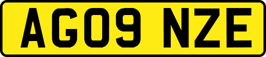 AG09NZE