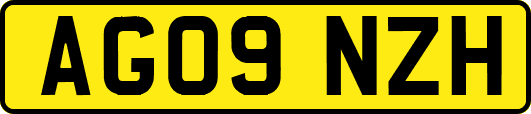 AG09NZH