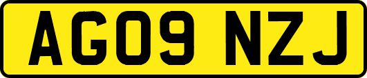 AG09NZJ