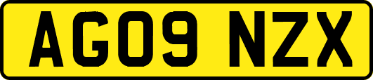 AG09NZX