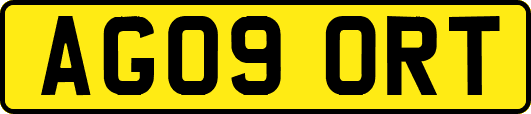 AG09ORT