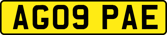 AG09PAE