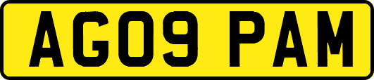 AG09PAM