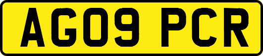 AG09PCR