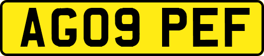 AG09PEF