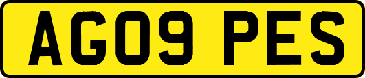 AG09PES