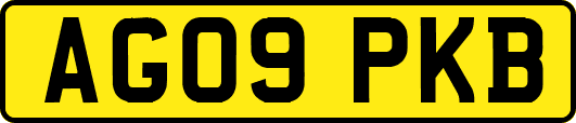 AG09PKB