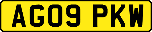 AG09PKW