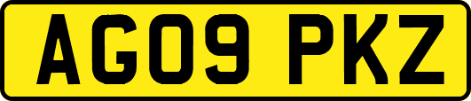 AG09PKZ