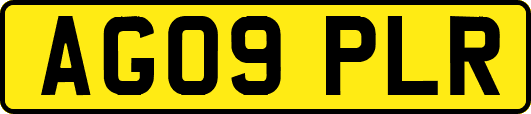 AG09PLR