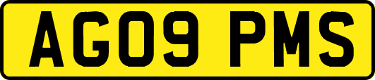 AG09PMS