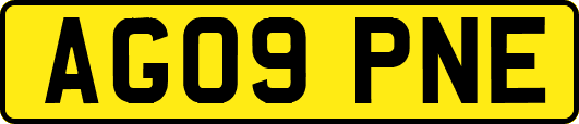 AG09PNE