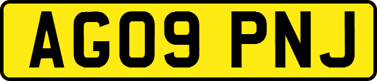 AG09PNJ