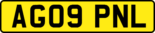 AG09PNL