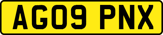 AG09PNX