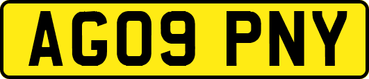 AG09PNY