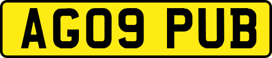 AG09PUB