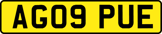 AG09PUE