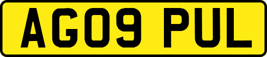 AG09PUL