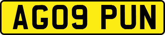 AG09PUN