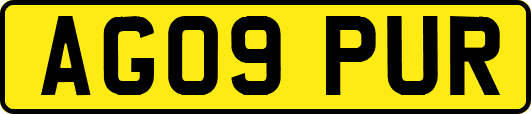 AG09PUR