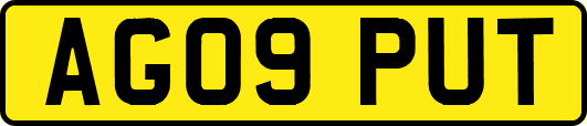 AG09PUT
