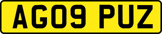 AG09PUZ