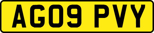 AG09PVY