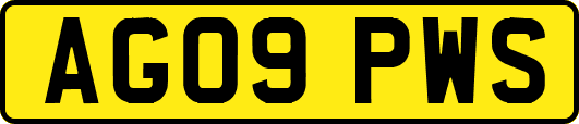 AG09PWS
