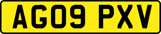AG09PXV