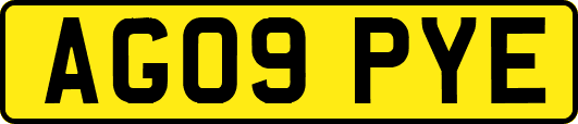 AG09PYE