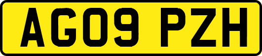 AG09PZH