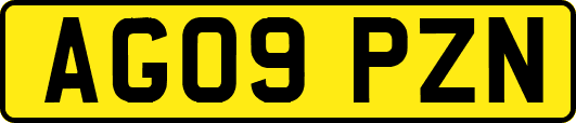 AG09PZN