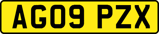 AG09PZX