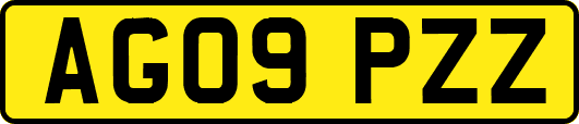 AG09PZZ