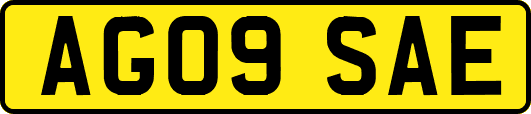 AG09SAE