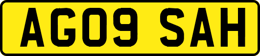 AG09SAH