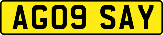AG09SAY