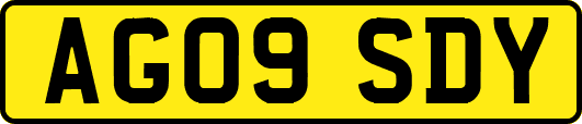 AG09SDY