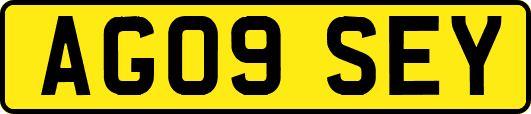 AG09SEY