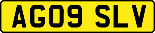 AG09SLV