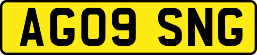 AG09SNG