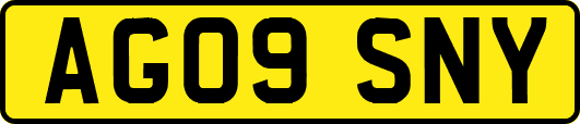 AG09SNY