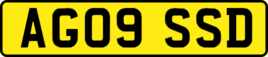 AG09SSD