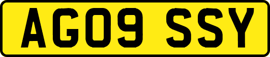 AG09SSY