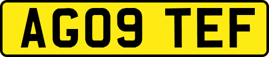 AG09TEF