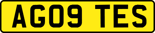 AG09TES