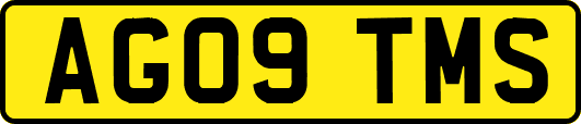 AG09TMS