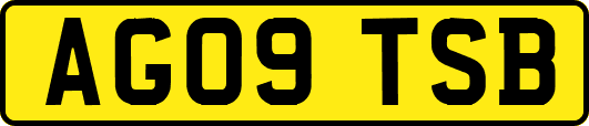 AG09TSB