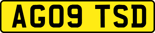 AG09TSD